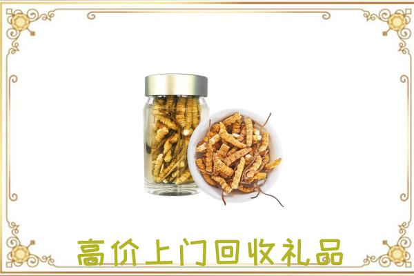 亳州周边回收虫草